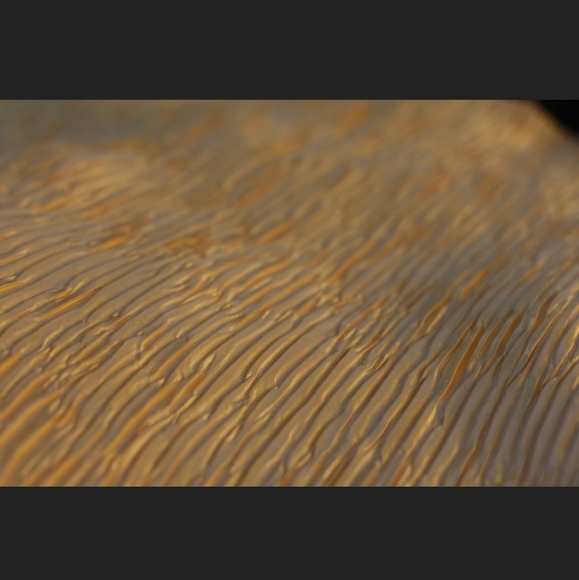 Vintage Satin Crinkle T-Shirt Top ☀️ - Picture 5 of 5